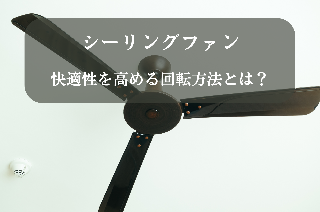 コラム